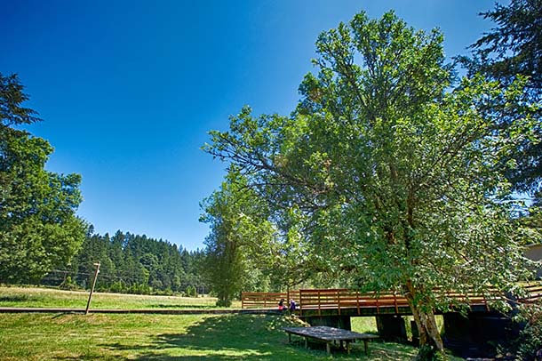 IMG_0575_HDR