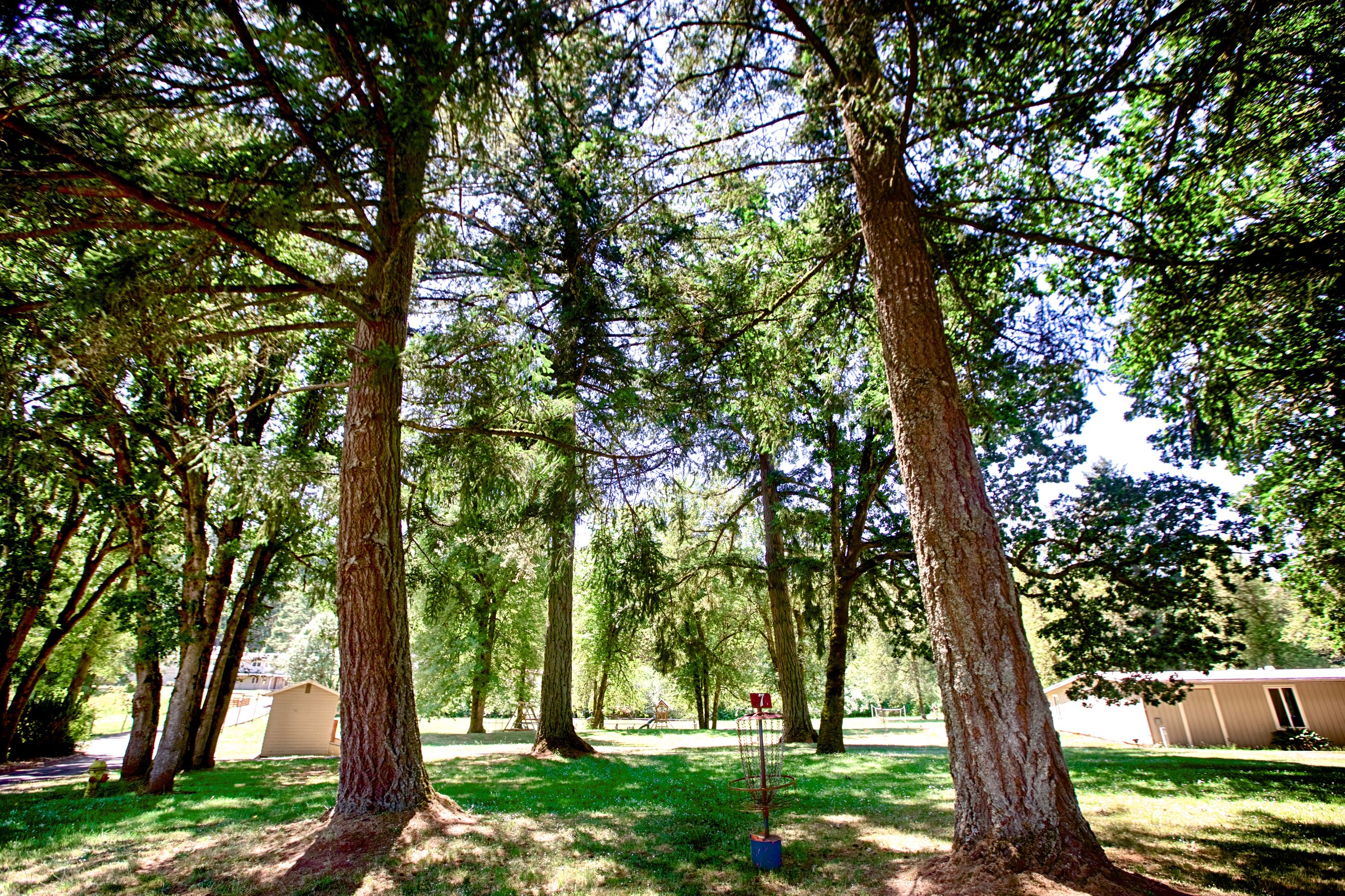 ywam salem campus