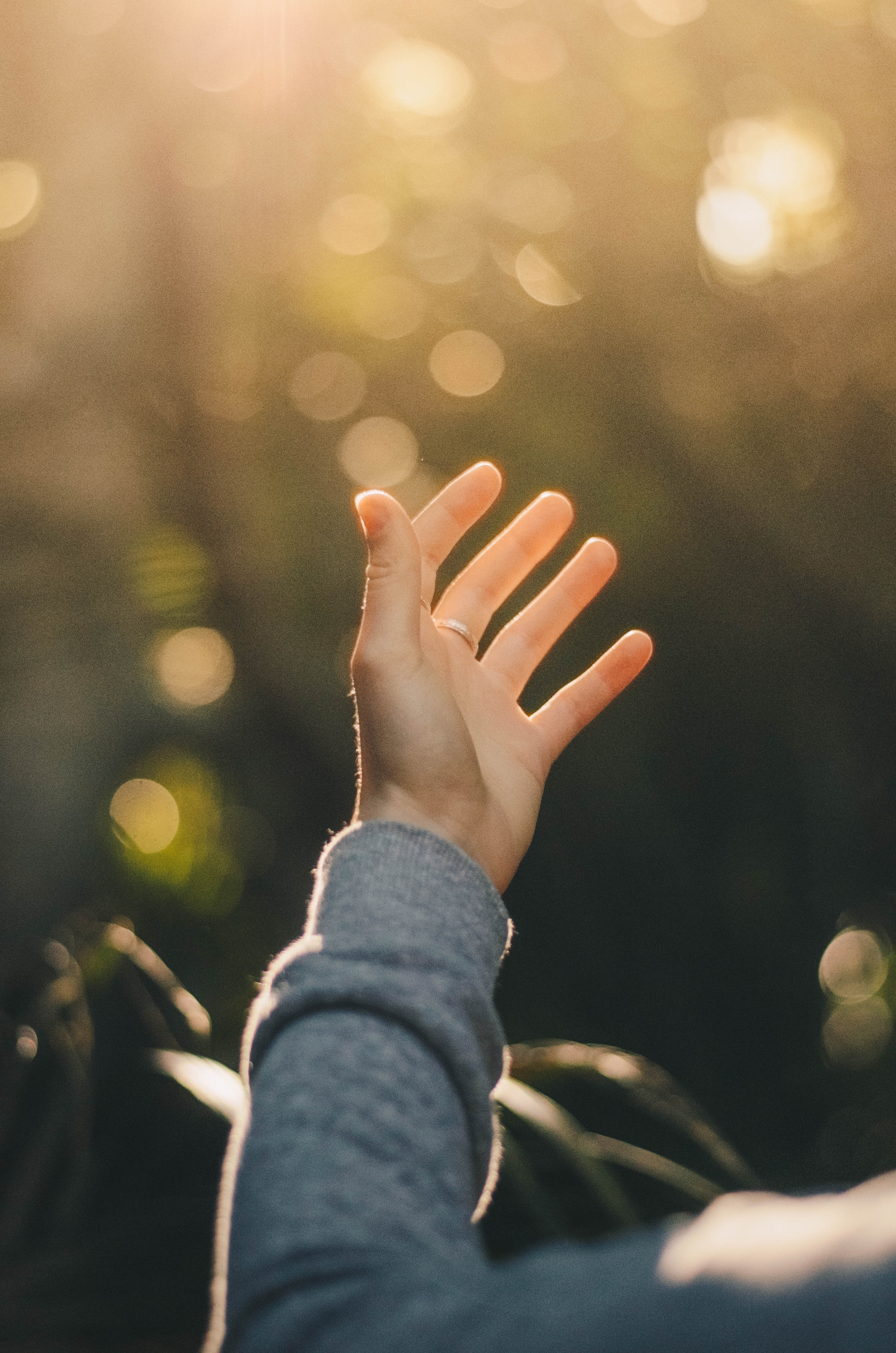 dev-benjamin-voIzq8LEdlo-unsplash (1)