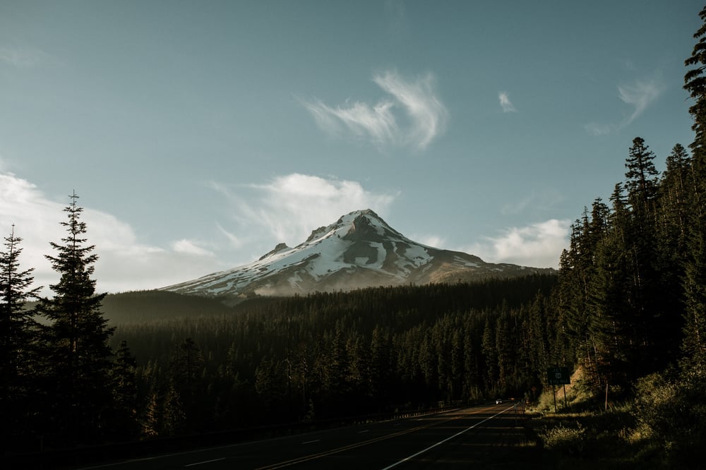 mark-tuzman-336533-unsplash