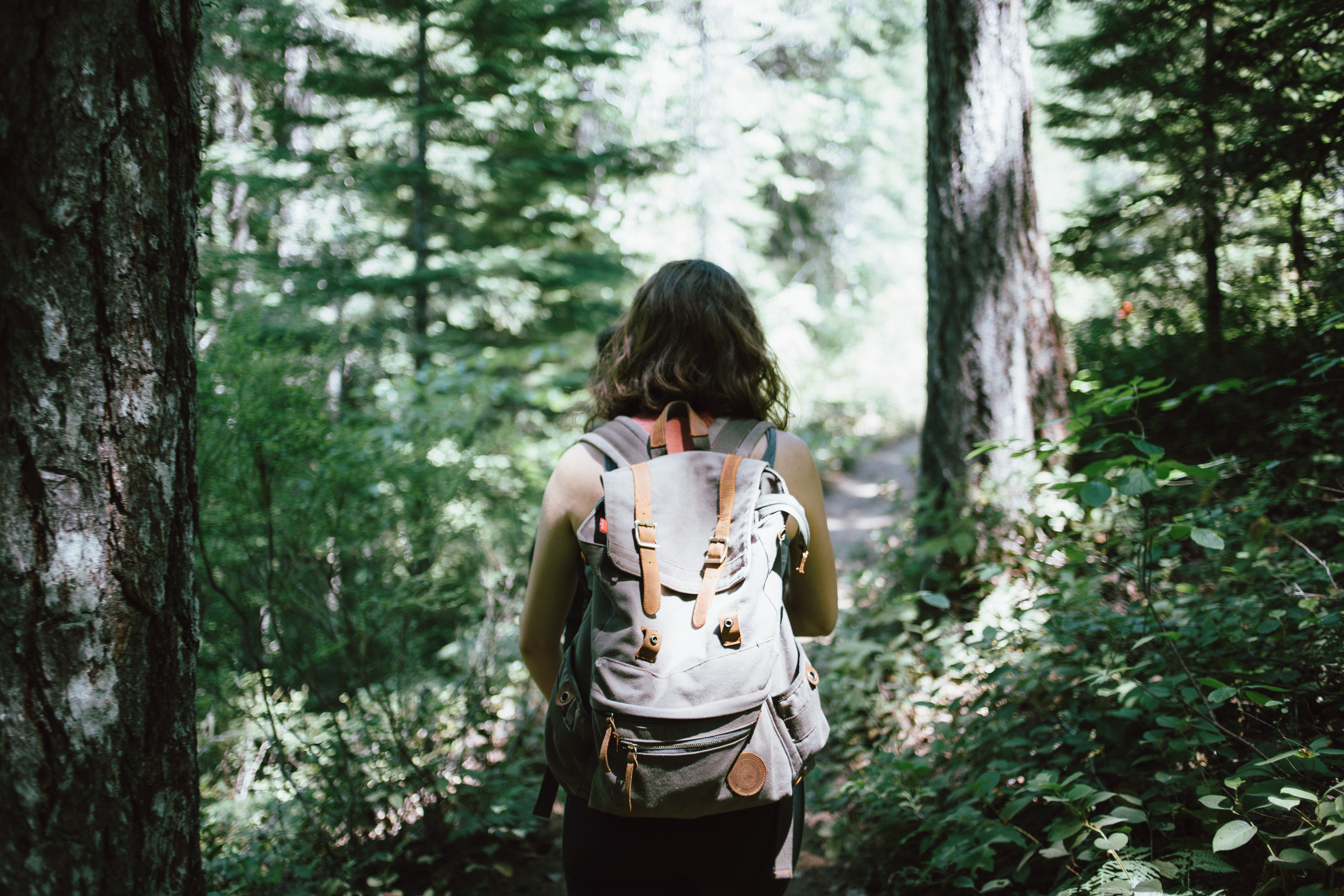 girl in forest